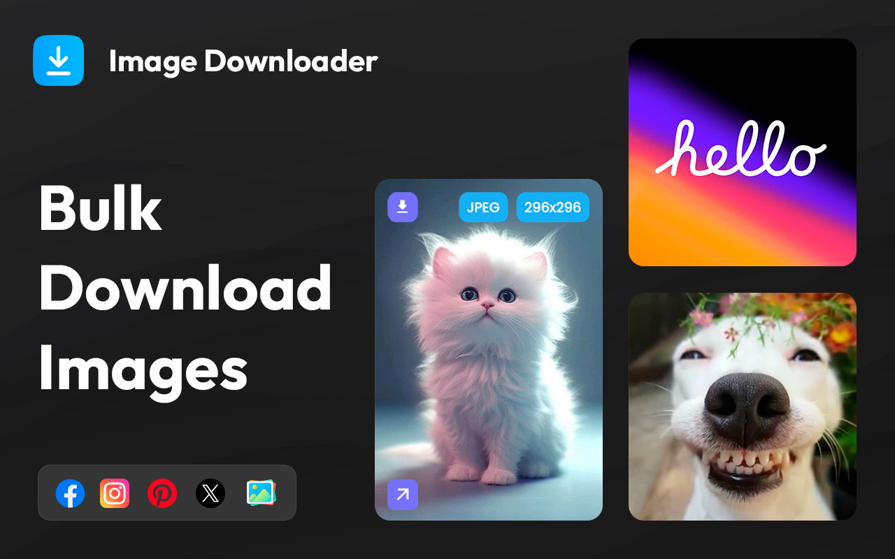 Image Downloader